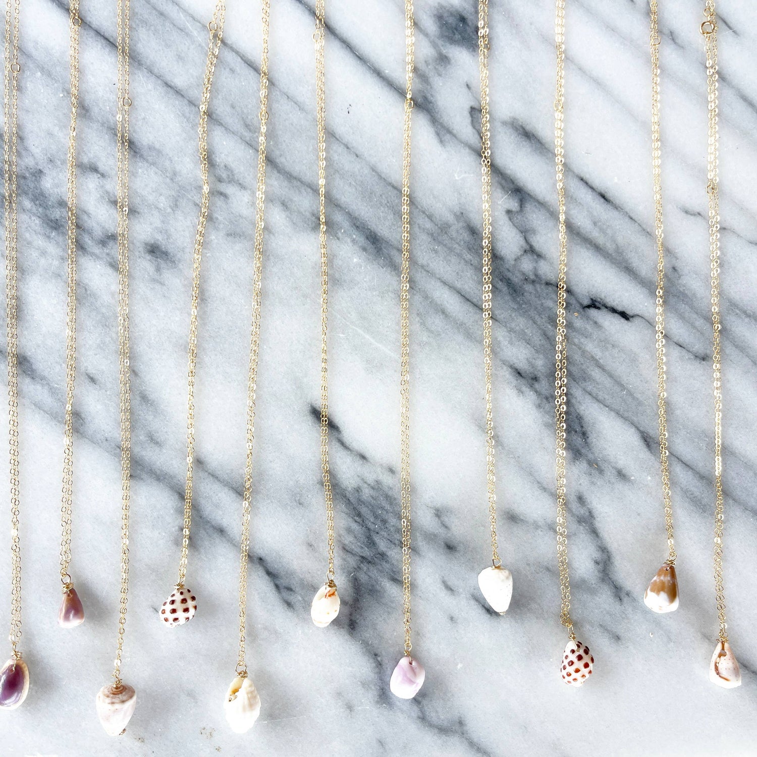 *BESTSELLER* Mini Hawaii Shell Necklace