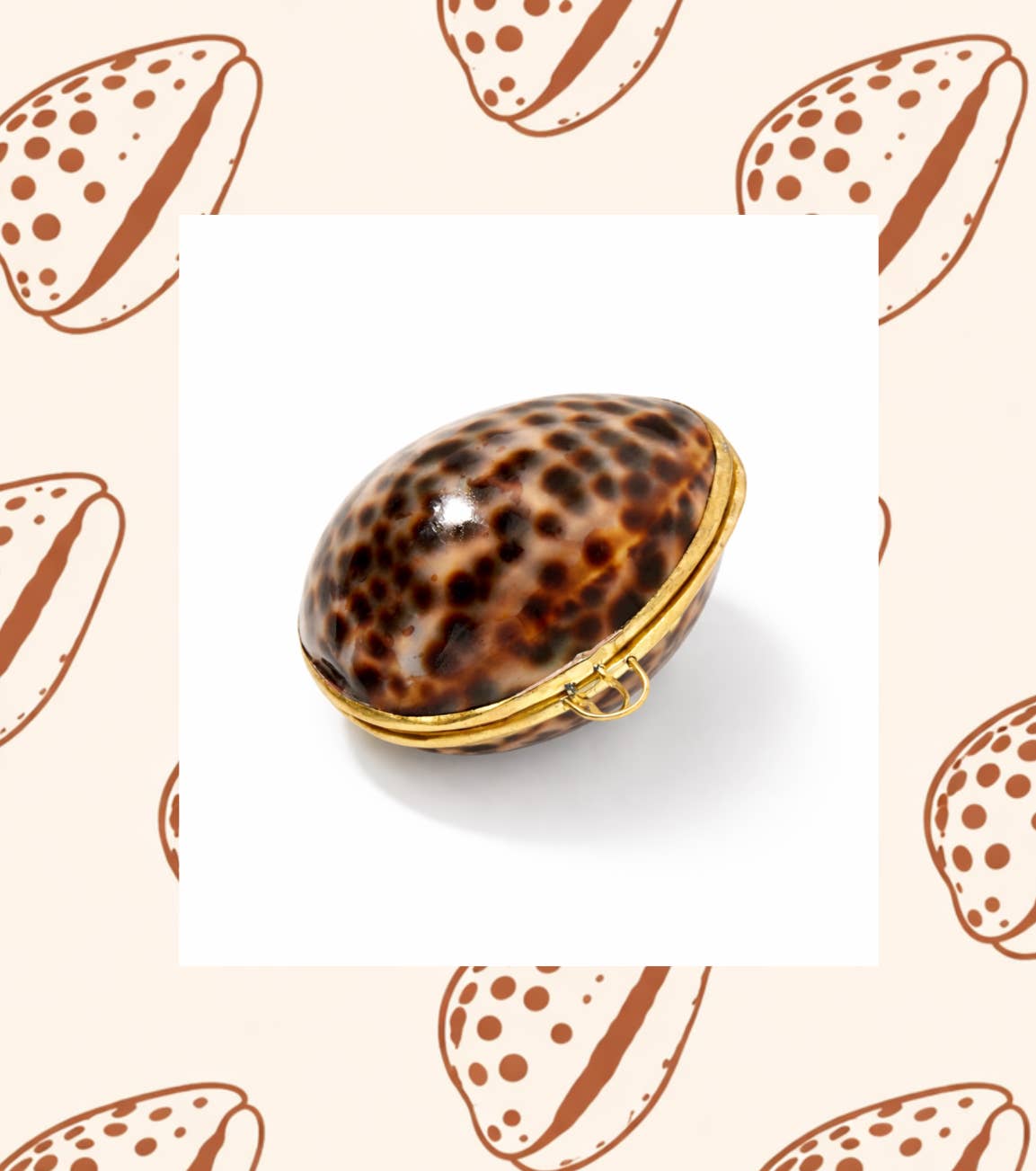 Tiger Cowrie and Clam Jewelry Case
