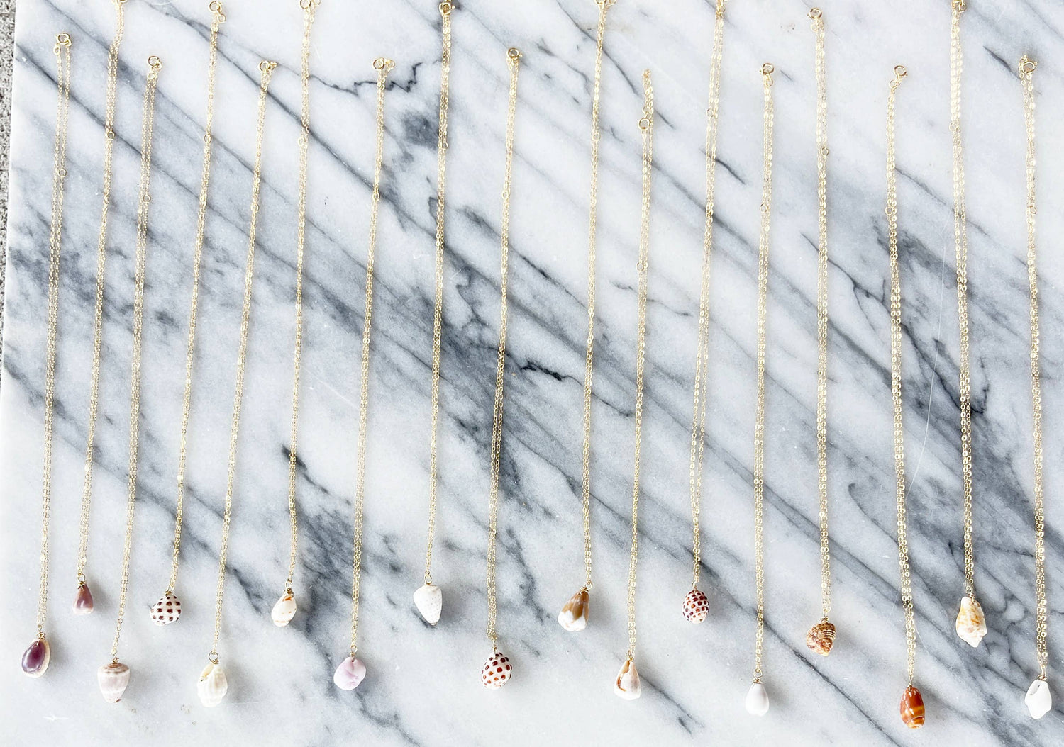 *BESTSELLER* Mini Hawaii Shell Necklace