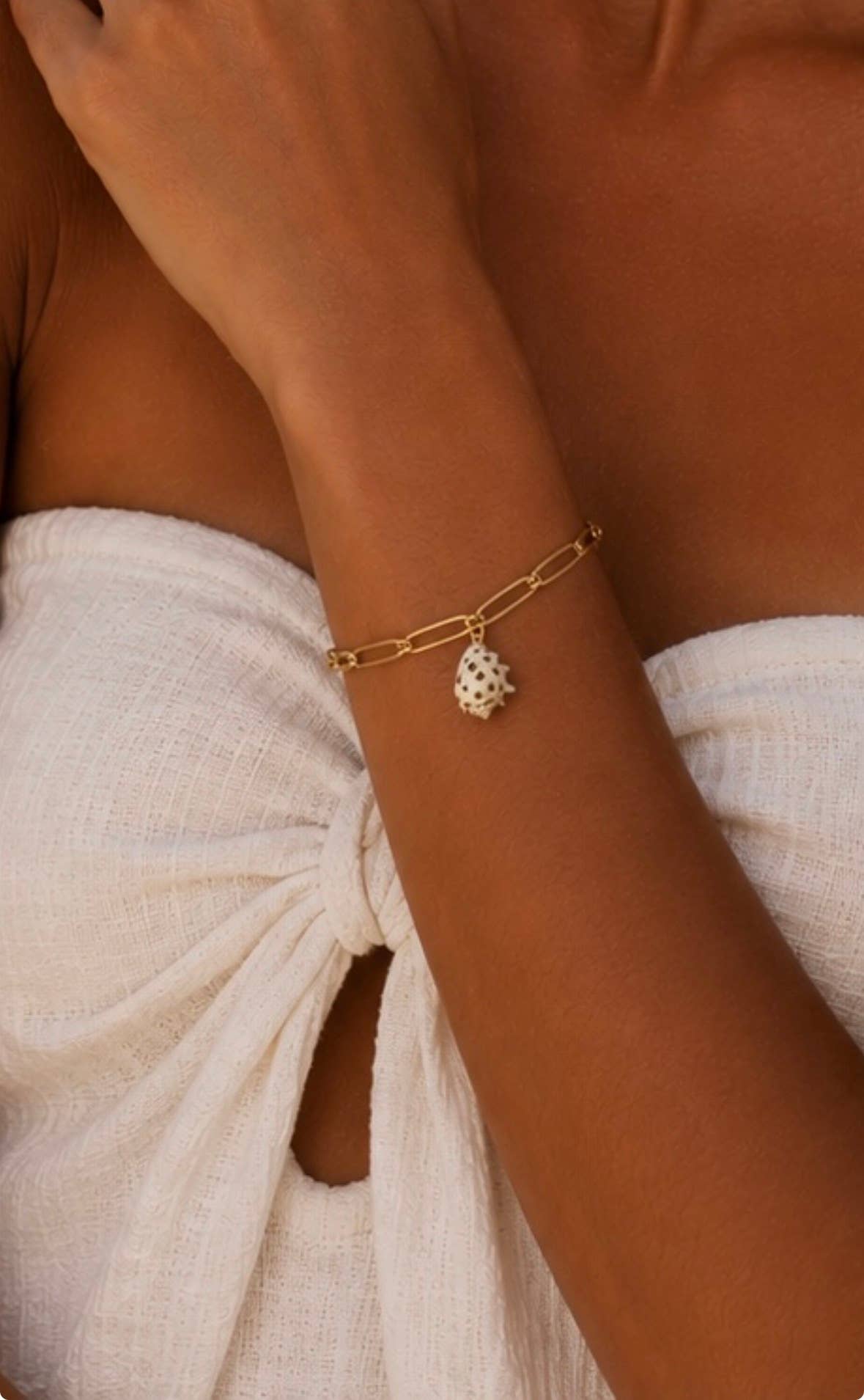 Drupe Shell Paper Clip Chain Gold Bracelet