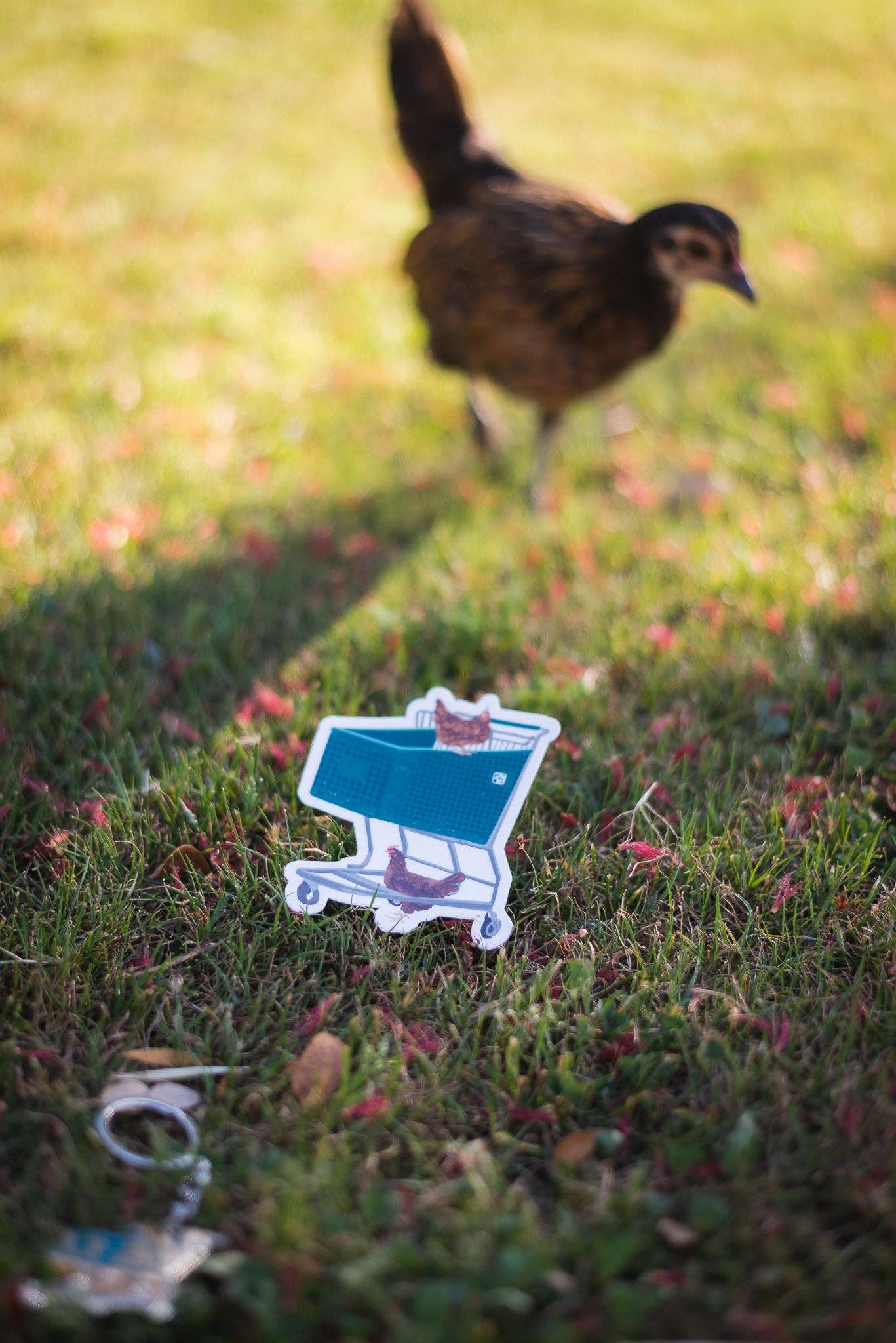 Fresh/Local Produce Stickers