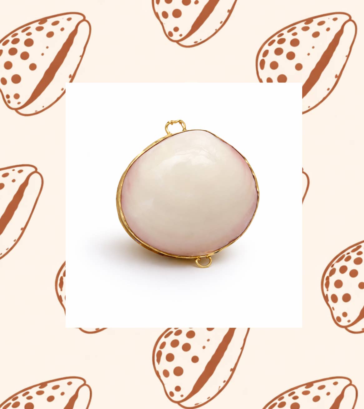 Tiger Cowrie and Clam Jewelry Case