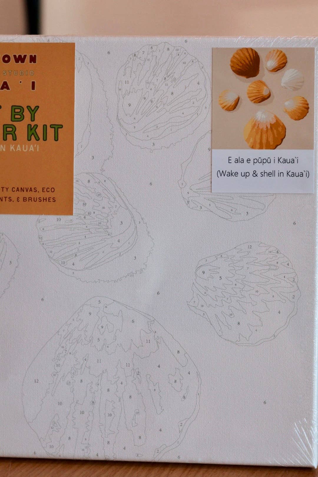 HTK Pūpū Paint by Number Kits 12* 12