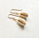Whole Cowrie Shell Earrings
