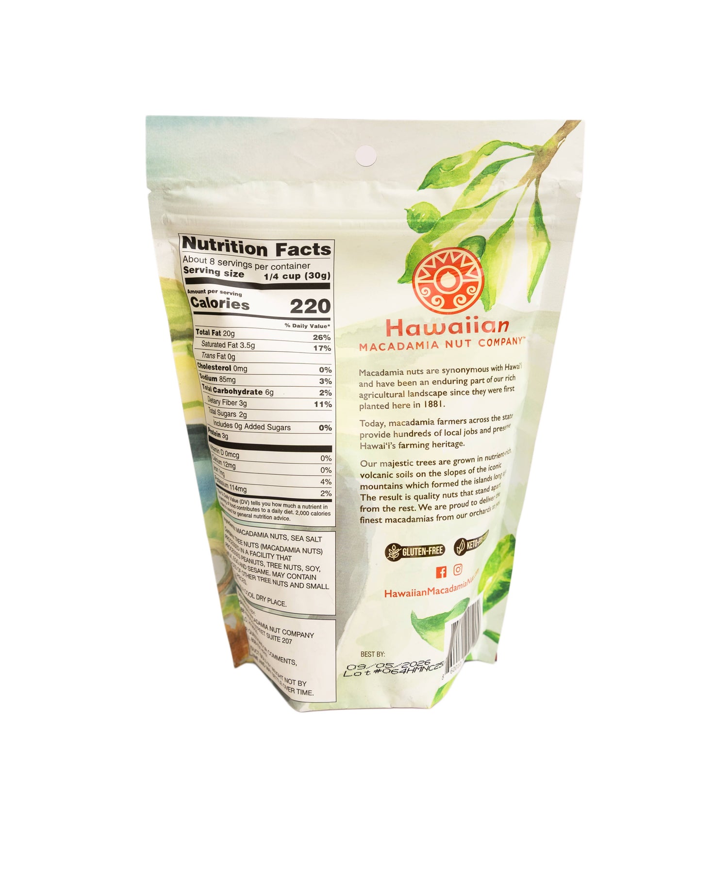 Macadamia Nuts - Sea Salt - 8oz