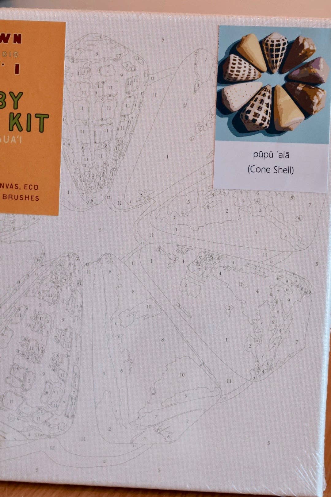 HTK Pūpū Paint by Number Kits 12* 12
