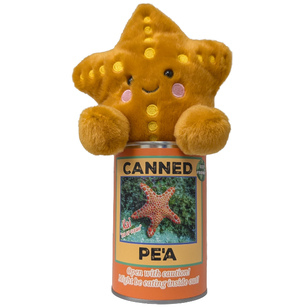 Hawaiian Canned Pe'a | Stuffed Starfish Plush w/Jokes