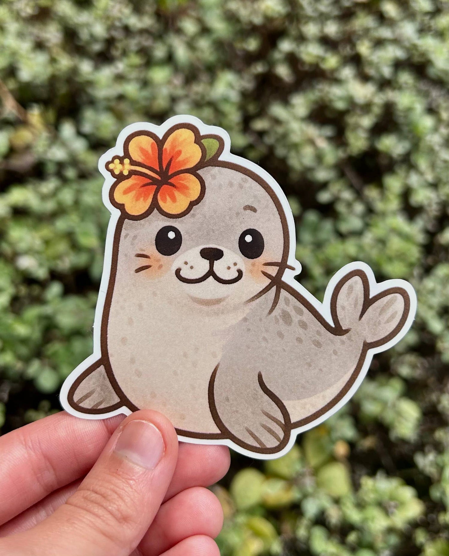 ʻīlio holo i ka uaua / Hawaiian Monk Seal Sticker