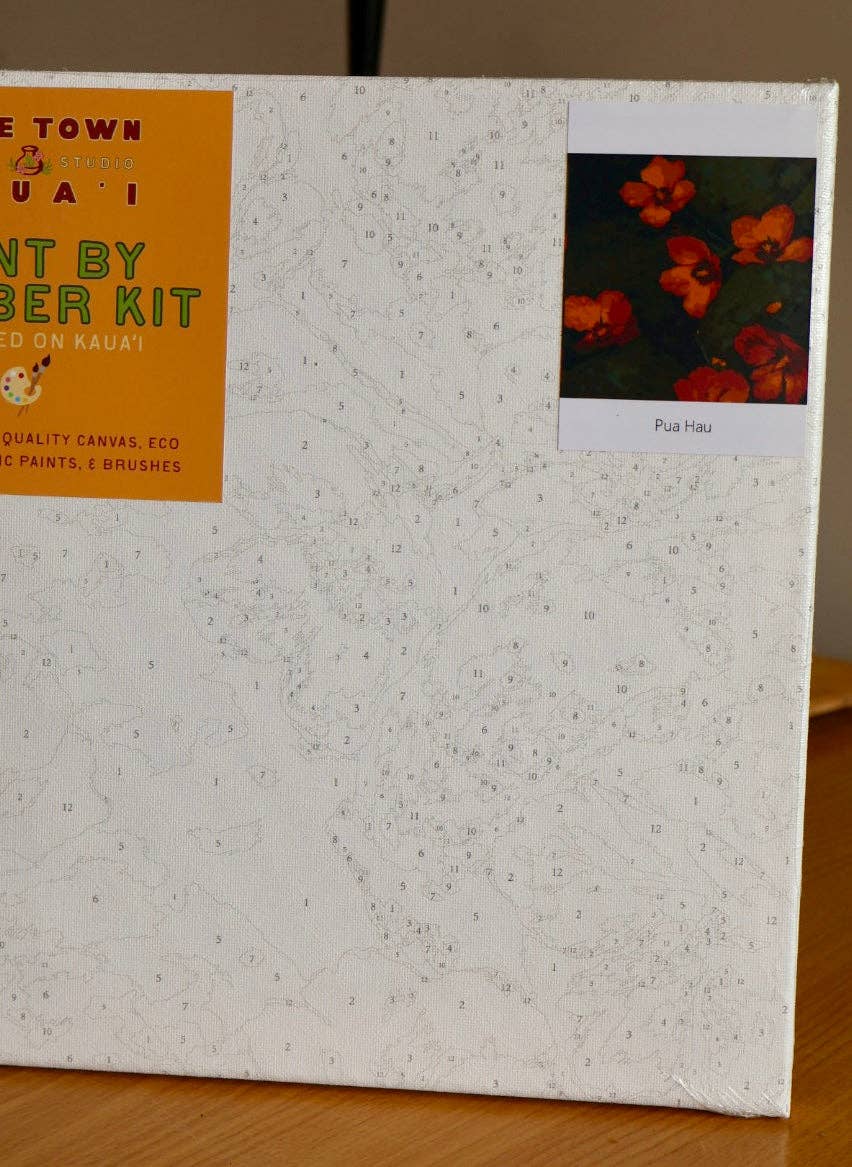 HTK Lāʻau Paint by Number Kits  12* 12