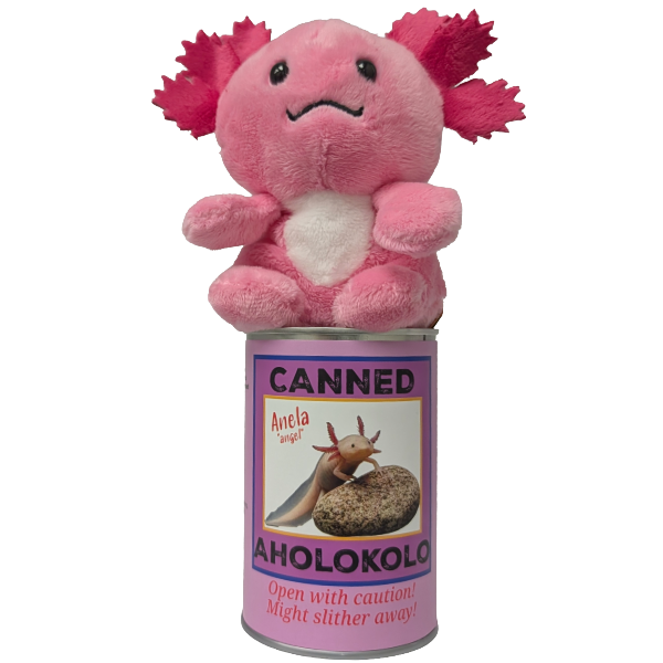 Hawaiian Canned Aholokolo | Stuffed Axolotl Plush w/Jokes