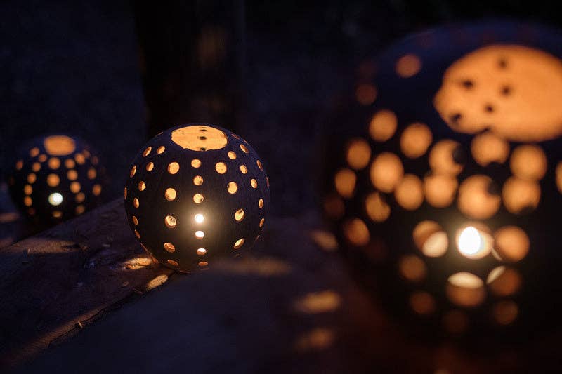 Coconut Candle Shade Trio