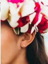 Teeny Shark's Tooth studs