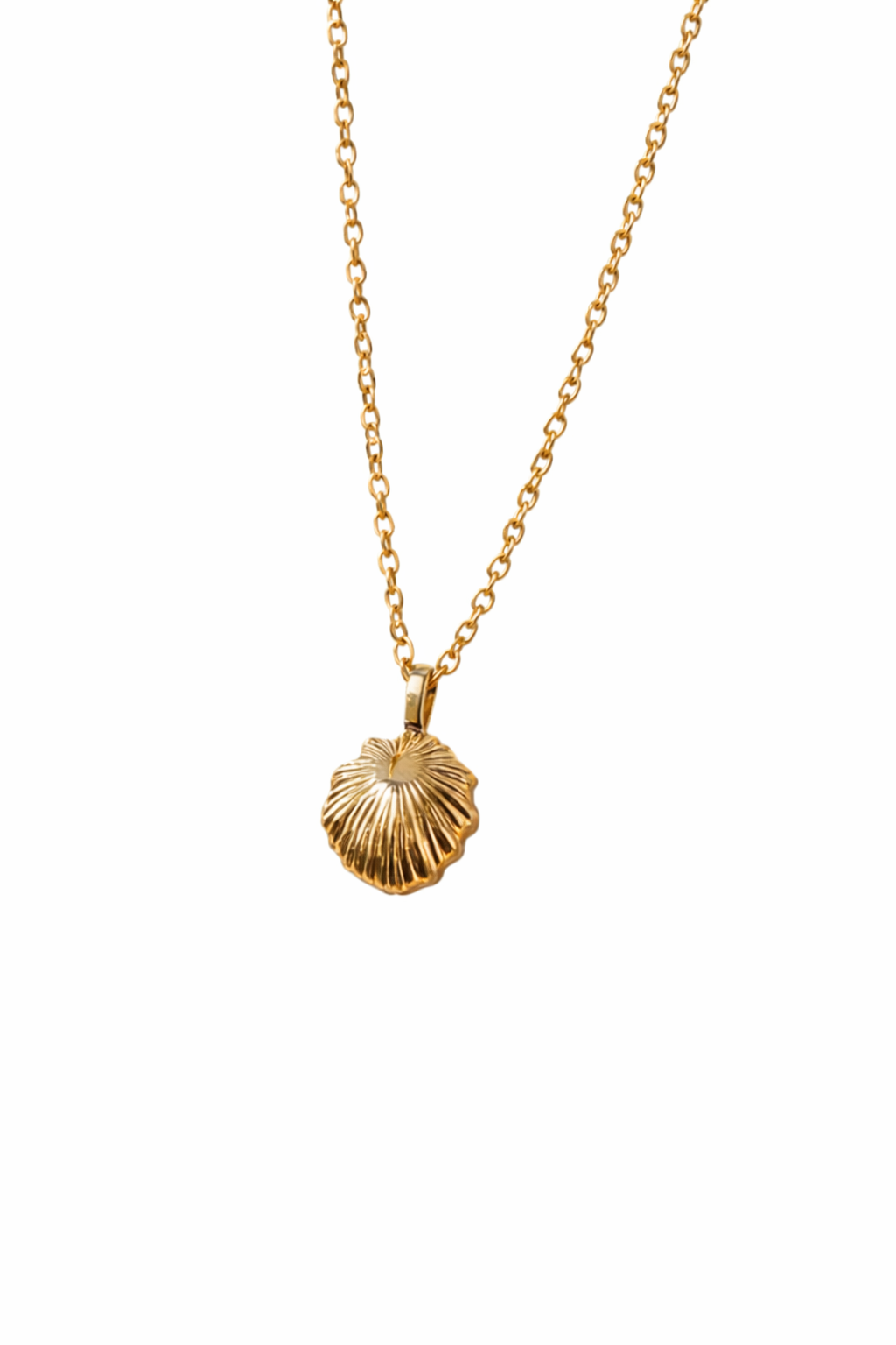  'Opihi Shell Gold Necklace 