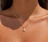   'Opihi Shell Gold Necklace 