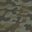 Camo dark