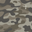 Camo Earth