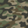 Camo Classic