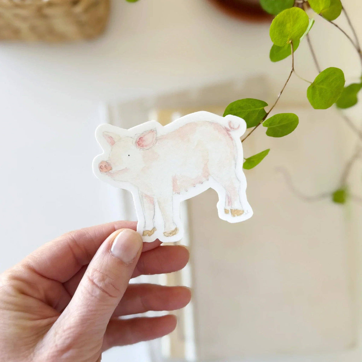 Pig sticker